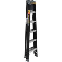 Step Ladder with Paint Tray, 6', Fibreglass, 250 lbs. Capacity, Type 1 Haskins Industrial Inc.