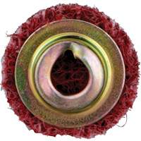 Standard Abrasives Quick-Change Surface Conditioning Disc, 3/4" Dia., Medium Grit, Aluminum Oxide Haskins Industrial Inc.