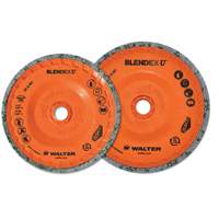 Blendex U Finishing Cup Disc, 4-1/2" Dia., Fine Grit, Silicon Carbide Haskins Industrial Inc.