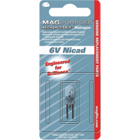 Ampoule de rechange pour lampe de poche rechargeable Haskins Industrial Inc.