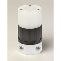 Grounding Straight Blade Connector, 5-15R, Nylon Haskins Industrial Inc.