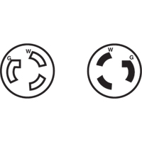 2-Pole 3-Wire Grounding Locking Plug, Nylon, 15 Amps, 250 V, L6-15P Haskins Industrial Inc.