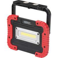 Portable Work Light, LED, 10 W, 1000 Lumens, Plastic Housing Haskins Industrial Inc.