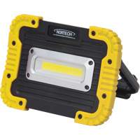 Portable Work Light, LED, 10 W, 1000 Lumens, Plastic Housing Haskins Industrial Inc.