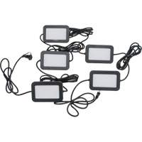 Chaîne de baladeuses DEL, 5 Lumi&egrave;res, 50' lo, Boîtier en Plastique Haskins Industrial Inc.