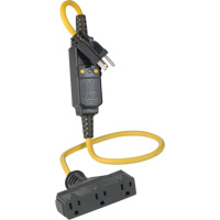 Triple-Tap Inline GCFI Extension Cord & Connector, 120 V, 15 Amps, 3' Cord Haskins Industrial Inc.