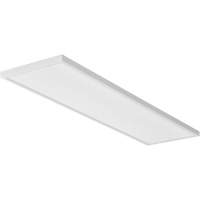CPANL Flat Panel Ceiling Light Haskins Industrial Inc.