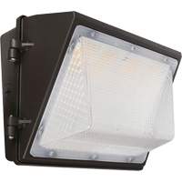 Non-Cutoff Wall Pack, LED, 120 - 277 V, 75 - 110 W, 9.33" H x 6.65" W x 14.5" D Haskins Industrial Inc.