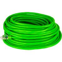 Industrial Extension Cord, All-Weather, SJTW, 10/3 AWG, 15 A, 100' Haskins Industrial Inc.