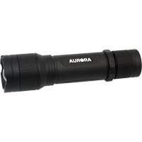 Lampe de poche IP67, DEL, 2000 lumens, Piles Rechargeable Haskins Industrial Inc.